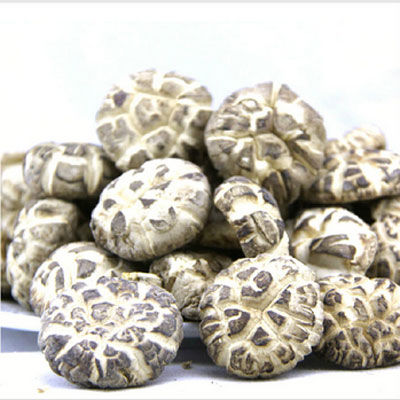 Flower mushroom