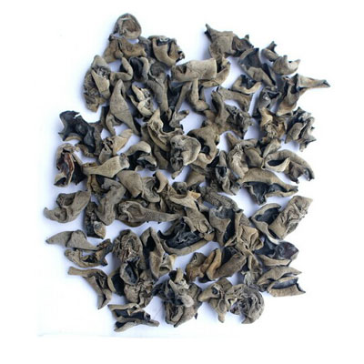 Black fungus
